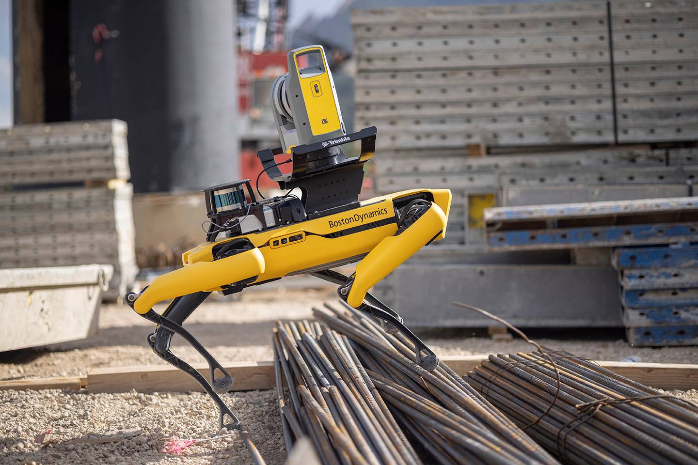 BCFS__Image__Spot__0129__Low_Resolution